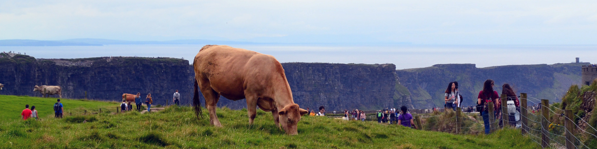 Scopri Galway: il Cuore della Costa Atlantica Irlandese