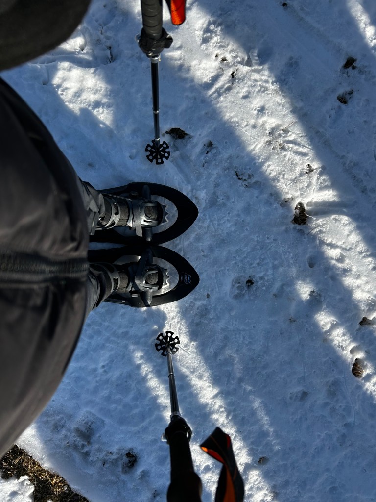 Ciaspolata nella Piana del Cansiglio, Veneto