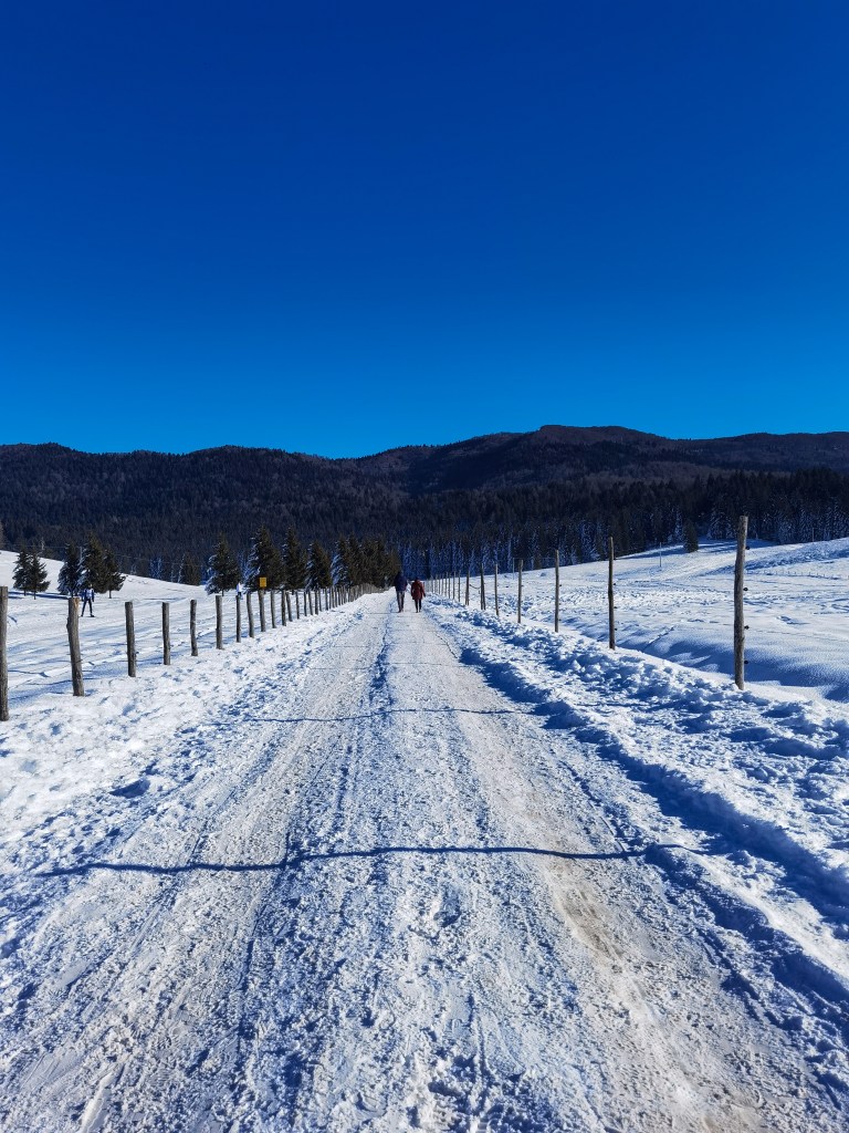 Neve, Piana del Cansiglio, Veneto