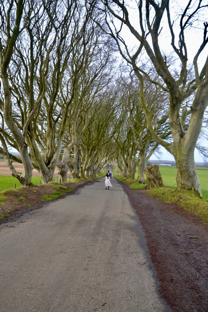 The Dark Hedges il Trono di Spade