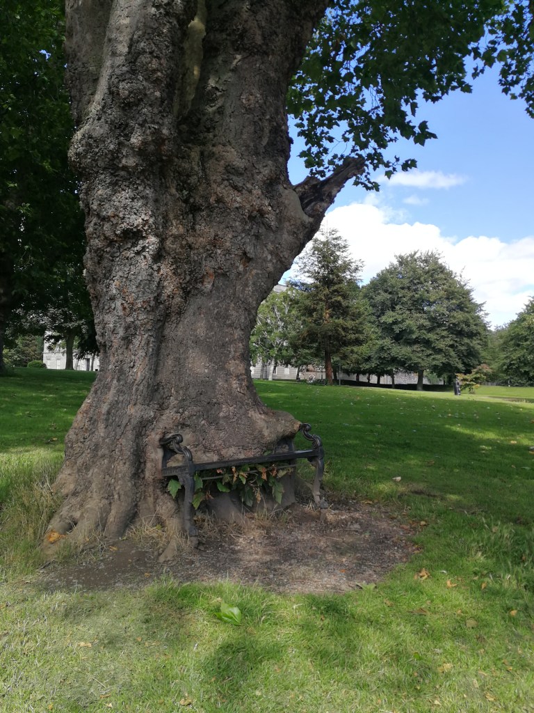 The Hungry Tree, Dublino, Irlanda