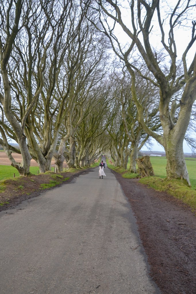 Tollymore Forest Park, Irlanda del Nord