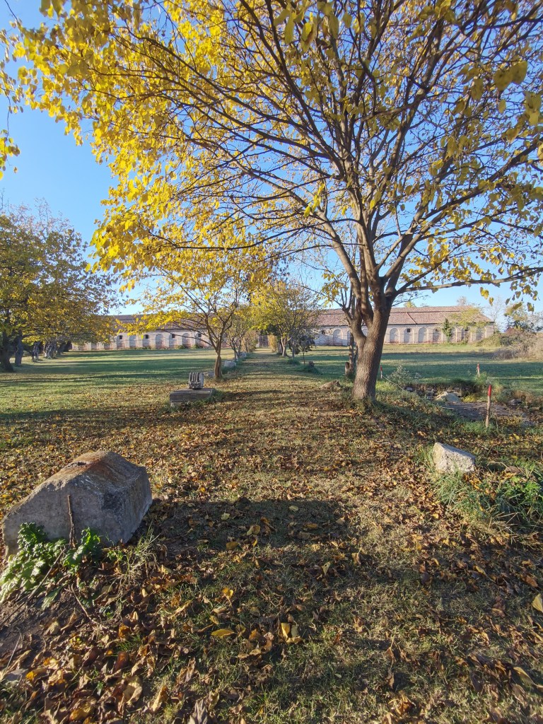 Isola del Lazzaretto Novo, Venezia