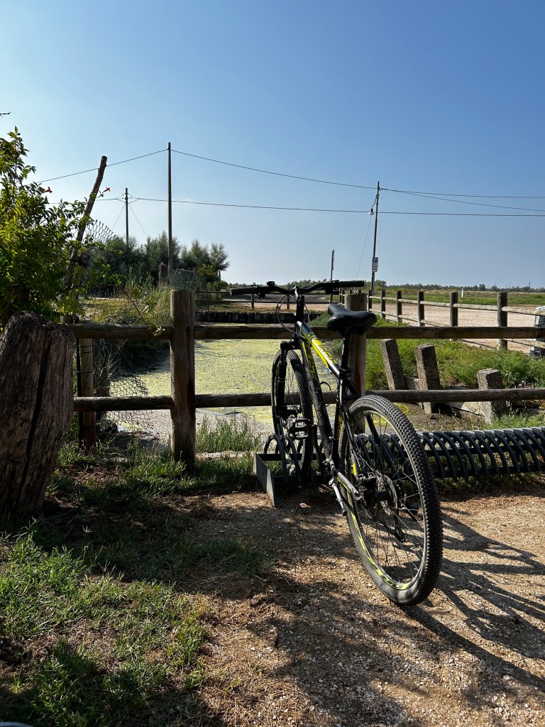 Lio Piccolo in bicicletta