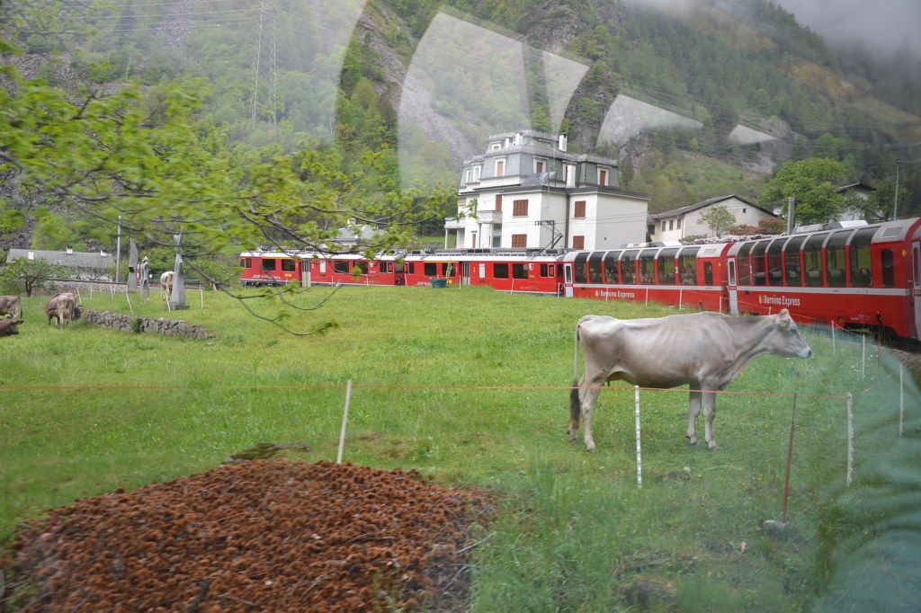 Bernina Express, Panorama