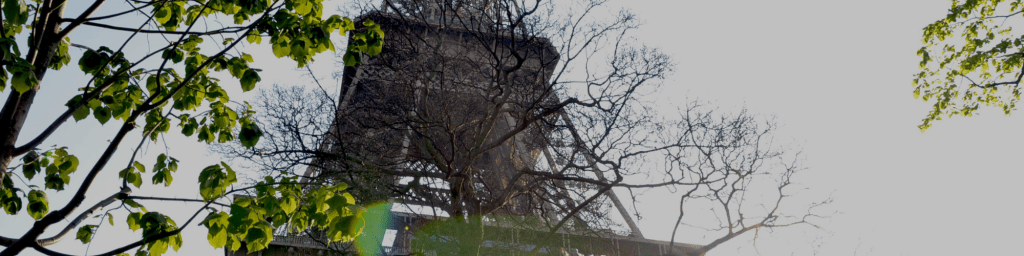 Tour Belle Époque a Parigi in italiano: viaggio di&nbsp;gruppo