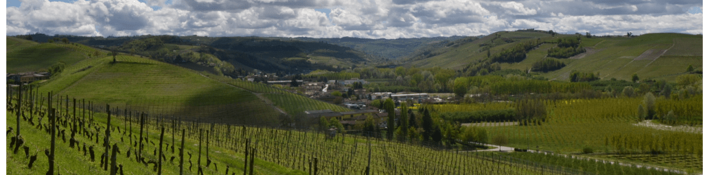 Viaggio nelle Langhe: Itinerario di 4 Giorni tra Vigneti, Borghi e Vino&nbsp;Straordinario